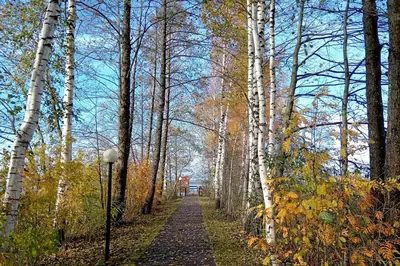 Осень на Плавно