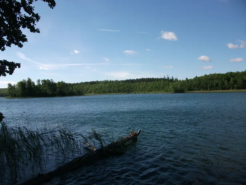 Усадьба «Криница» — Da voli / Wikimedia Commons, CC BY-SA 4.0